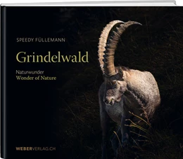 Abbildung von Füllemann | Grindelwald | 1. Auflage | 2023 | beck-shop.de