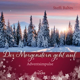 Abbildung von Baltes | Der Morgenstern geht auf | 1. Auflage | 2023 | beck-shop.de