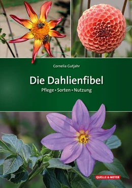 Abbildung von Gutjahr | Die Dahlienfibel | 1. Auflage | 2024 | beck-shop.de