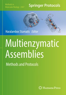 Abbildung von Stamatis | Multienzymatic Assemblies | 1. Auflage | 2023 | 2487 | beck-shop.de