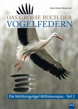 Abbildung von Bergmann | Das große Buch der Vogelfedern | 1. Auflage | 2025 | beck-shop.de