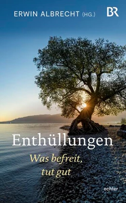 Abbildung von Albrecht | Enthüllungen | 1. Auflage | 2023 | beck-shop.de