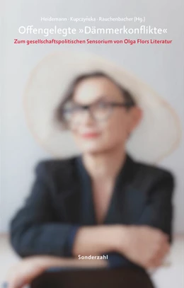 Abbildung von Heidemann / Kupczynska | Offengelegte »Dämmerkonflikte« | 1. Auflage | 2023 | beck-shop.de