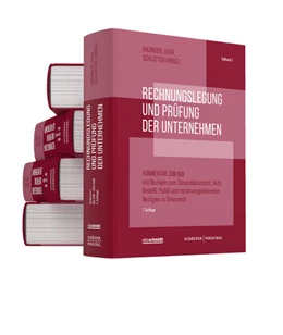 Abbildung von Anzinger / Oser | Rechnungslegung und Prüfung der Unternehmen | 7. Auflage | | beck-shop.de