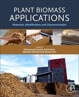 Abbildung von Jawaid / Khan | Plant Biomass Applications | 1. Auflage | 2024 | beck-shop.de