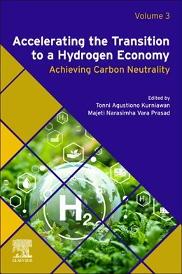 Abbildung von Kurniawan / Vara Prasad | Accelerating the Transition to a Hydrogen Economy | 1. Auflage | 2025 | beck-shop.de