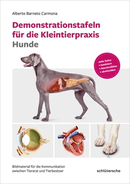 Abbildung von Berneto Carmona | Demonstrationstafeln für die Kleintierpraxis Hunde | 1. Auflage | 2023 | beck-shop.de