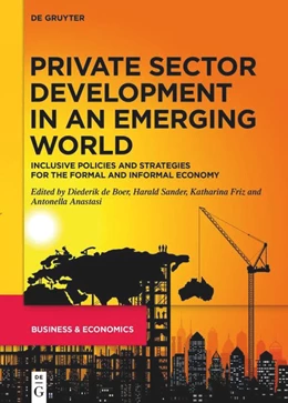 Abbildung von Boer / Sander | Private Sector Development in an Emerging World | 1. Auflage | 2023 | beck-shop.de