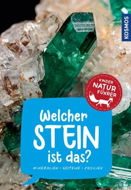 Abbildung von Hochleitner | Welcher Stein ist das? Kindernaturführer | 1. Auflage | 2023 | beck-shop.de