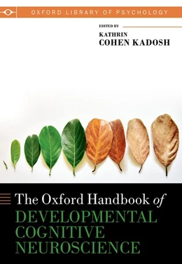 Abbildung von Cohen Kadosh | The Oxford Handbook of Developmental Cognitive Neuroscience | 1. Auflage | 2024 | beck-shop.de