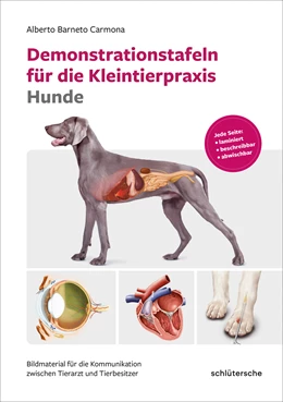 Abbildung von Berneto Carmona | Demonstrationstafeln für die Kleintierpraxis Hunde | 1. Auflage | 2023 | beck-shop.de
