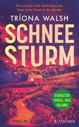 Abbildung von Walsh | Schneesturm | 1. Auflage | 2023 | beck-shop.de