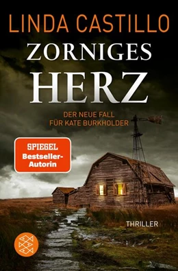 Abbildung von Castillo | Zorniges Herz | 1. Auflage | 2024 | beck-shop.de