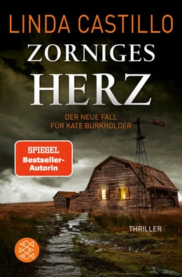 Abbildung von Castillo | Zorniges Herz | 1. Auflage | 2024 | beck-shop.de