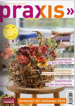 Abbildung von Team PRAXIS | PRAXIS Nr. 113 | 1. Auflage | 2023 | beck-shop.de