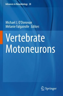 Abbildung von O'Donovan / Falgairolle | Vertebrate Motoneurons | 1. Auflage | 2023 | 28 | beck-shop.de