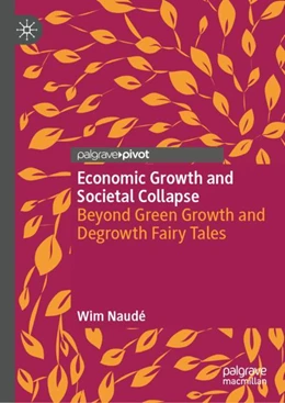 Abbildung von Naudé | Economic Growth and Societal Collapse | 1. Auflage | 2023 | beck-shop.de
