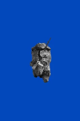 Abbildung von Neuenschwander | Catherine Biocca | 1. Auflage | 2017 | beck-shop.de