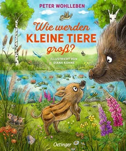 Abbildung von Wohlleben | Wie werden kleine Tiere groß? | 1. Auflage | 2024 | beck-shop.de