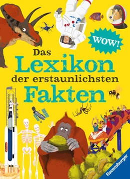 Abbildung von McCann / Bédoyère | Das Lexikon der erstaunlichsten Fakten | 1. Auflage | 2024 | beck-shop.de