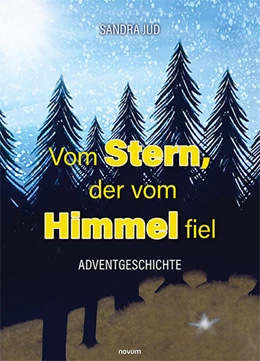 Abbildung von Sandra Jud | Vom Stern, der vom Himmel fiel | 1. Auflage | 2023 | beck-shop.de