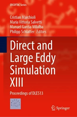 Abbildung von Marchioli / Salvetti | Direct and Large Eddy Simulation XIII | 1. Auflage | 2023 | beck-shop.de