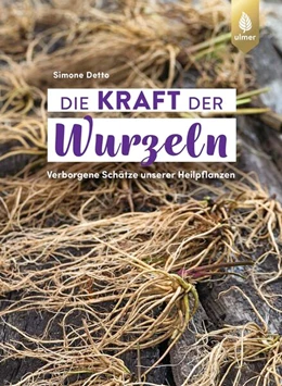 Abbildung von Detto | Die Kraft der Wurzeln | 2. Auflage | 2023 | beck-shop.de