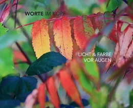 Abbildung von Andersson / KEB in der Stadt Bamberg | Worte im Kopf - Licht & Farbe vor Augen | 1. Auflage | 2023 | beck-shop.de