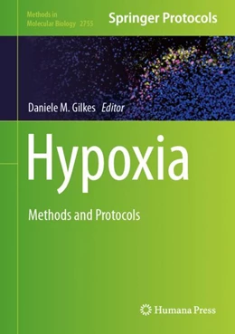 Abbildung von Gilkes | Hypoxia | 1. Auflage | 2024 | beck-shop.de