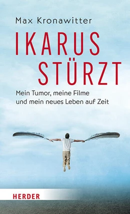 Abbildung von Kronawitter | Ikarus stürzt | 1. Auflage | 2024 | beck-shop.de