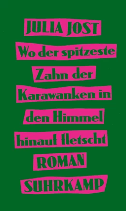 Abbildung von Jost | Wo der spitzeste Zahn der Karawanken in den Himmel hinauf fletscht | 1. Auflage | 2024 | beck-shop.de