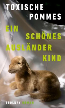 Abbildung von Toxische Pommes | Ein schönes Ausländerkind | 1. Auflage | 2024 | beck-shop.de