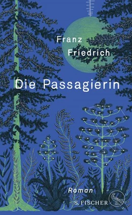 Abbildung von Friedrich | Die Passagierin | 1. Auflage | 2024 | beck-shop.de