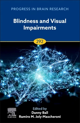 Abbildung von Blindness and Visual Impairments | 1. Auflage | 2025 | beck-shop.de