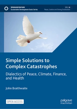 Abbildung von Braithwaite | Simple Solutions to Complex Catastrophes | 1. Auflage | 2024 | beck-shop.de