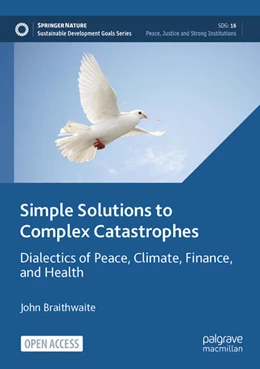 Abbildung von Braithwaite | Simple Solutions to Complex Catastrophes | 1. Auflage | 2024 | beck-shop.de