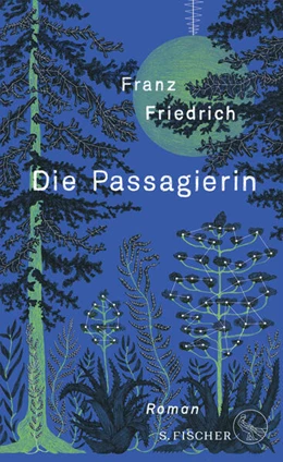Abbildung von Friedrich | Die Passagierin | 1. Auflage | 2024 | beck-shop.de