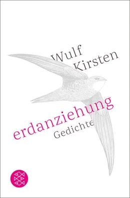 Abbildung von Kirsten | Erdanziehung | 1. Auflage | 2024 | beck-shop.de