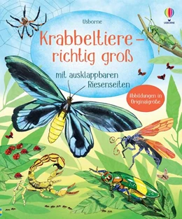 Abbildung von Krabbeltiere - richtig groß | 1. Auflage | 2024 | beck-shop.de