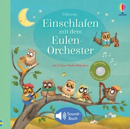 Abbildung von Einschlafen mit dem Eulen-Orchester | 1. Auflage | 2024 | beck-shop.de