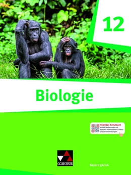 Abbildung von Schmidt / Fischer-Geiger | Biologie Bayern 12 | 1. Auflage | 2024 | beck-shop.de