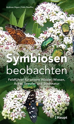 Abbildung von Gigon / Stauffer | Symbiosen beobachten | 1. Auflage | 2024 | beck-shop.de