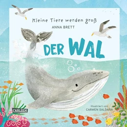 Abbildung von Brett | Kleine Tiere werden groß - Der Wal | 1. Auflage | 2024 | beck-shop.de