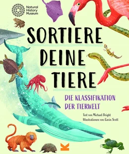 Abbildung von Bright | Sortiere deine Tiere | 1. Auflage | 2024 | beck-shop.de