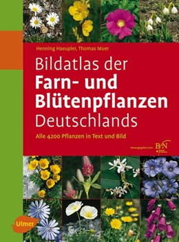 Abbildung von Haeupler / Muer | Bildatlas der Farn- und Blütenpflanzen Deutschlands | 2. Auflage | 2023 | beck-shop.de