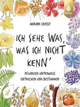 Abbildung von Cressy / Arlinghaus | Ich sehe was, was ich nicht kenn´ | 1. Auflage | 2024 | beck-shop.de
