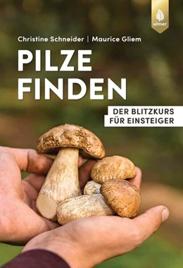 Abbildung von Schneider / Gliem | Pilze finden | 1. Auflage | 2024 | beck-shop.de
