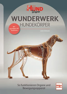 Abbildung von Schwarz | WUNDERWERK HUNDEKÖRPER | 1. Auflage | 2024 | beck-shop.de