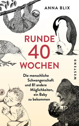 Abbildung von Blix | Runde 40 Wochen | 1. Auflage | 2024 | beck-shop.de