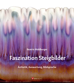 Abbildung von Waldburger | Faszination Steigbilder | 1. Auflage | 2023 | beck-shop.de